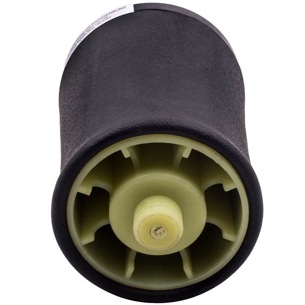 Ressort Pneumatique Suspension Arrière Gauche for BMW E53 X5 37121095579