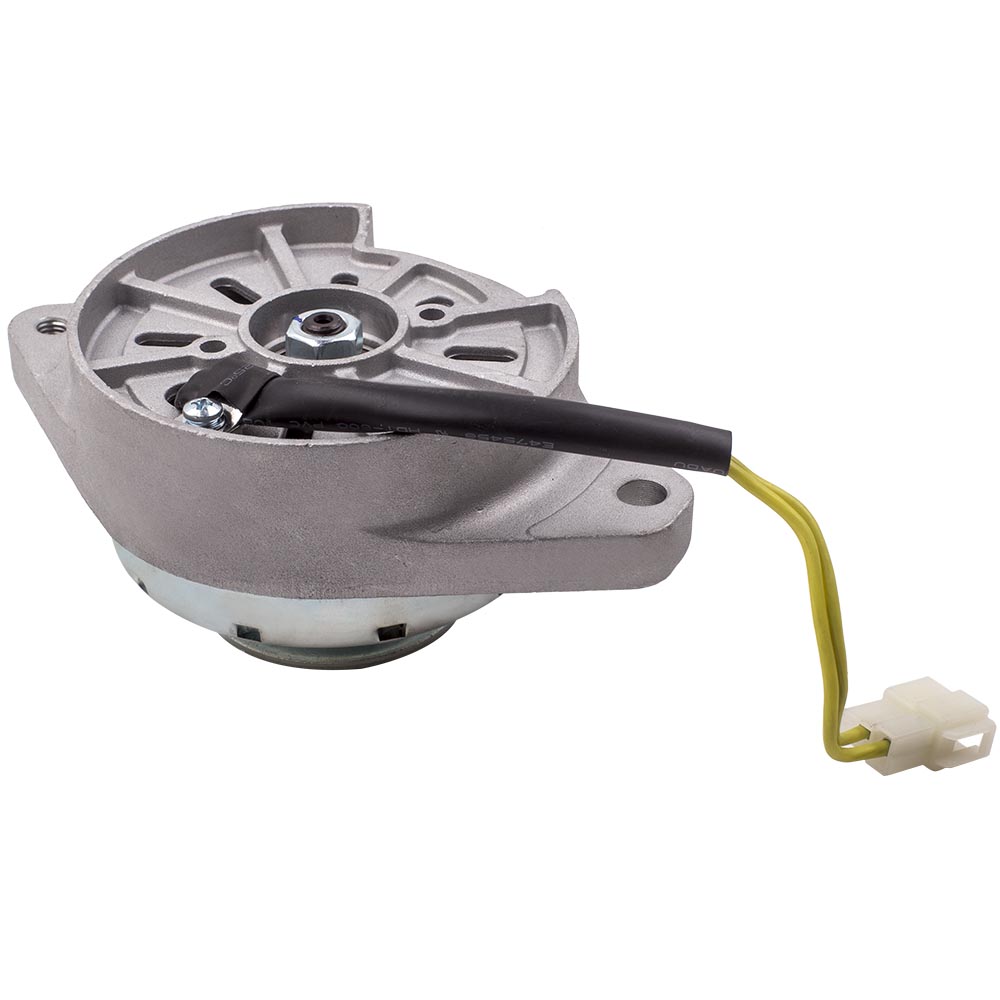 ALTERNATEUR GÉNÉRATEUR DYNAMO FOR YANMAR KOKUSAN DENKI KOMATSU 20 A AM879144